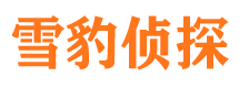 波密外遇出轨调查取证